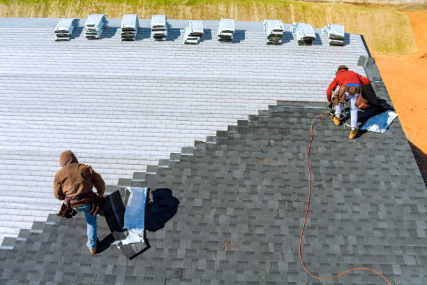 Best Roof Restoration Services  in Forest Hills, MI