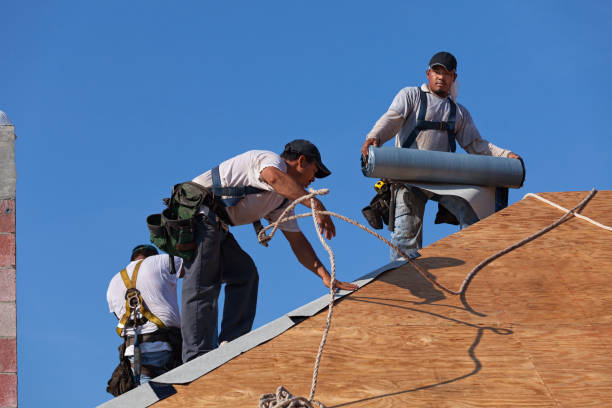 Best Commercial Roofing Services  in Forest Hills, MI