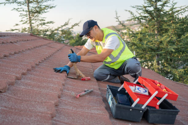 Best Metal Roofing Contractor  in Forest Hills, MI