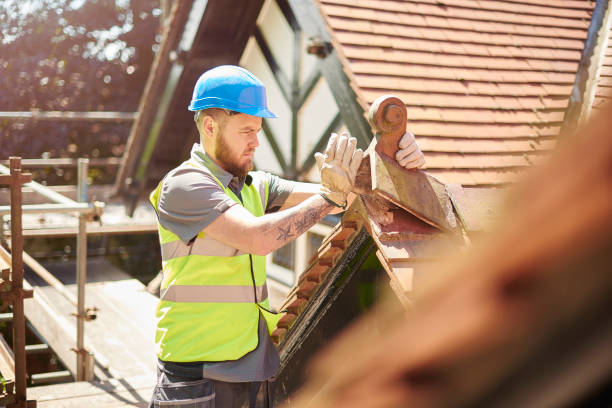 Best Roof Installation Near Me  in Forest Hills, MI