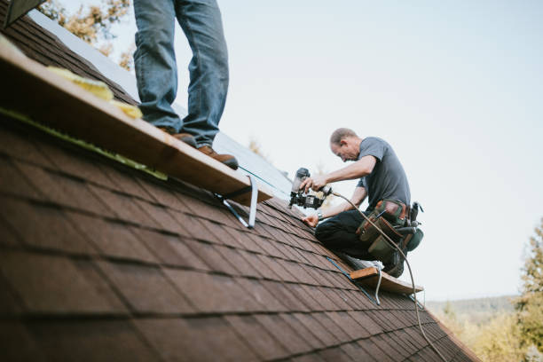 Best Emergency Roof Repair  in Forest Hills, MI